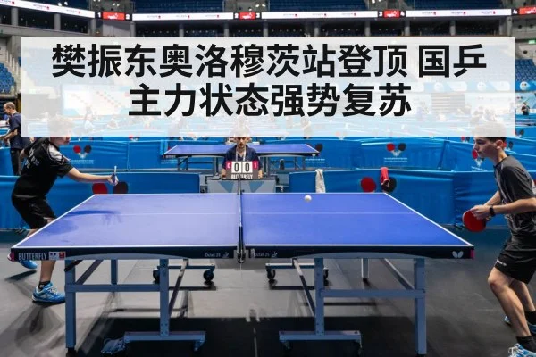 樊振东奥洛穆茨站登顶 国乒主力状态强势复苏
