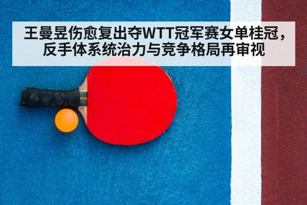table tennis racket