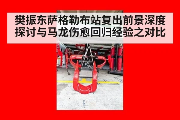 樊振东萨格勒布站复出前景深度探讨与马龙伤愈回归经验之对比